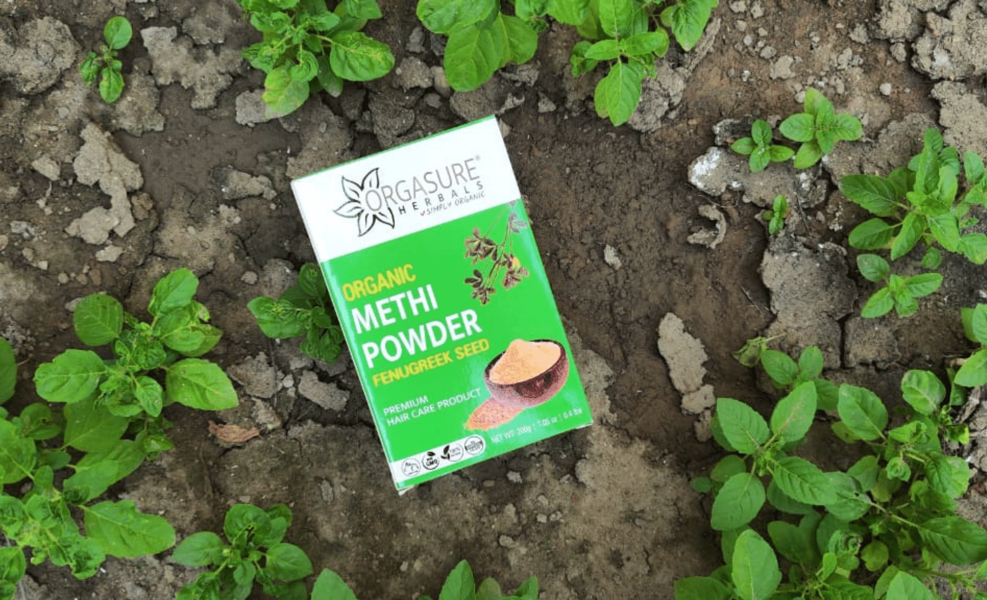 Methi Powder for Hair A Homemade Remedy for Hair Fall hennahubstore