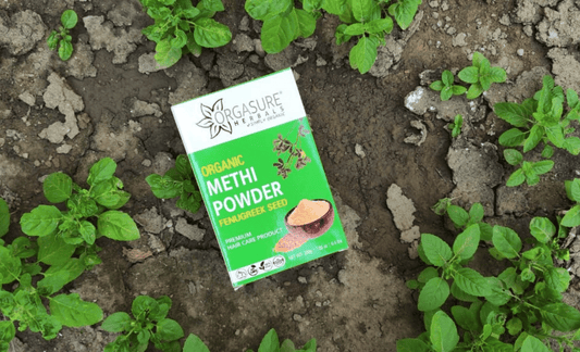 Methi Powder for Hair : A Homemade Remedy for Hair Fall