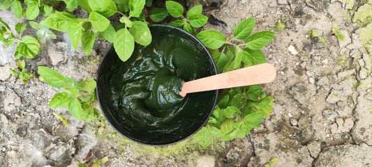 BEST THINGS ABOUT INDIGO POWDER