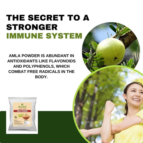 HENNAHUB Natural HAIRCARE POWDER